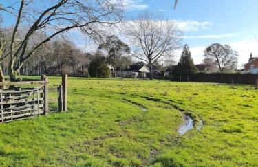 The Little Cottage - Peaceful, Dog Friendly Cottage in 5 Acres - Photo 13