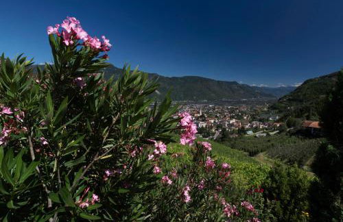 Greiterhof - Foto 37