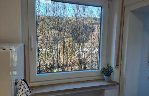 FeWo An der Elpe zwischen Winterberg und Fort Fun - Foto 8