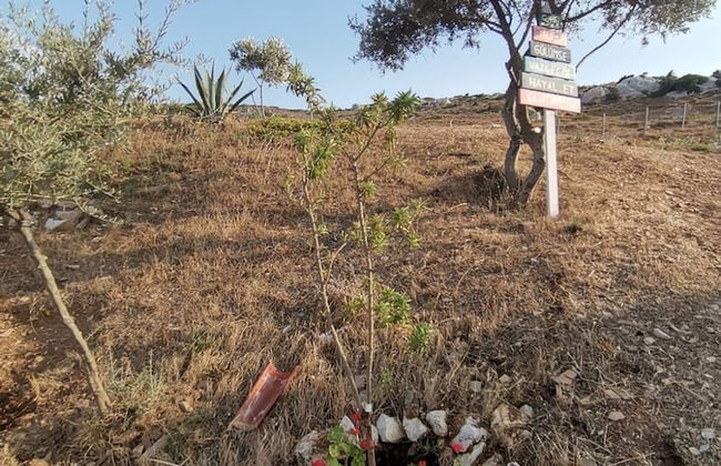 Zeus kır evi - Photo 73