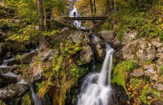 Altes Forsthaus - Fewo "Wiesental", privater "Spa" mit Sauna, Wanne und Relaxliegen, Todtnau - Foto 5