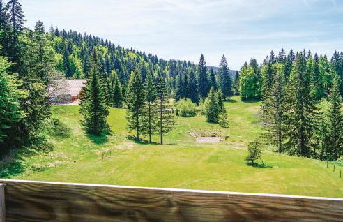 Awesome Apartment In Premanon - Foto 11