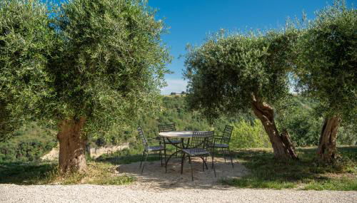 Podere Miray - Foto 2, Garden, Garden view