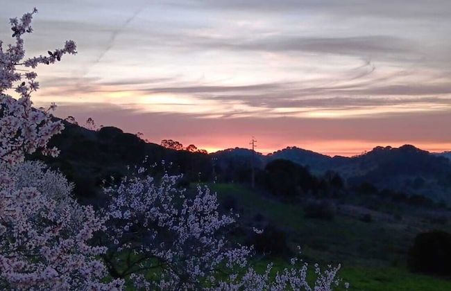 Biovilla Sustentabilidade - Foto 41