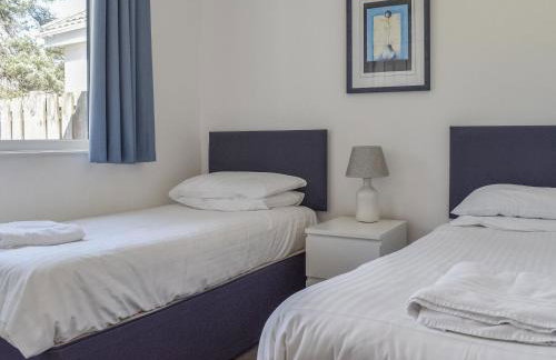 Caddie - Uk11038 - Foto 16