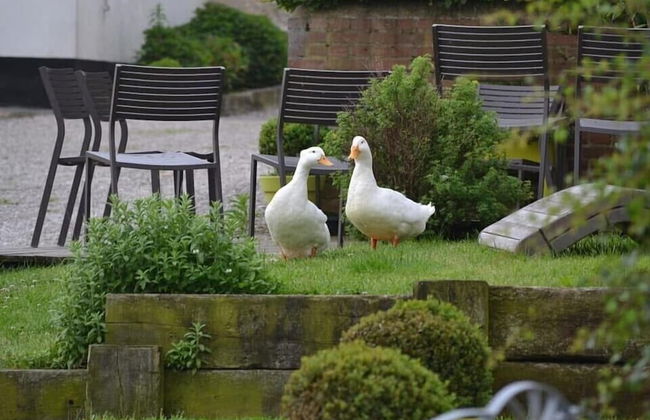 Alex Factory - Foto 39