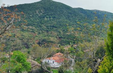 Kleitor Stone Villa-Peloponnese Getaway - Foto 13