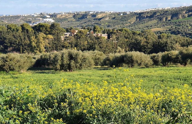 Villa Phyllia, a Property With History - Foto 7