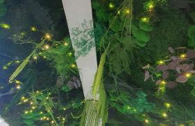 Le Green : Studio centre-ville*proche gare*parking - Foto 2