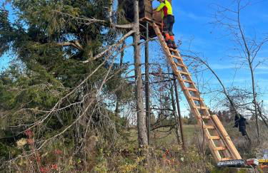 Seelenglück - Foto 26