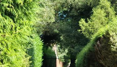 Manor Cottage - Foto 2