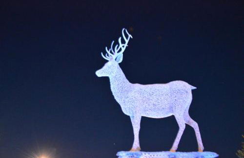 The Old Smiddy Cottage and Apartment - Foto 40