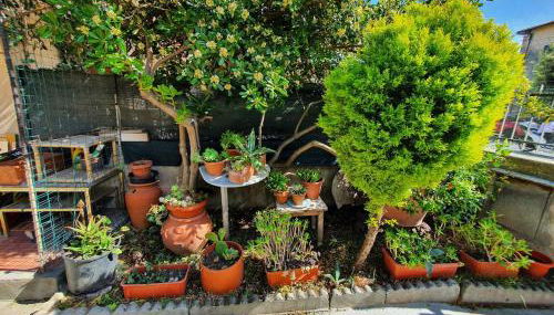 House with garden in Marina di Pisa - Foto 3