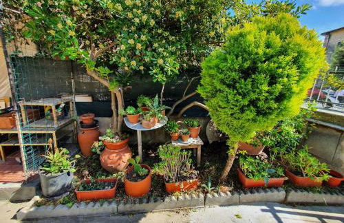 House with garden in Marina di Pisa - Foto 3