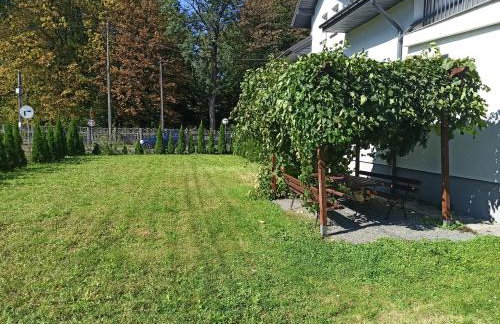 Park Rymanów - Foto 12