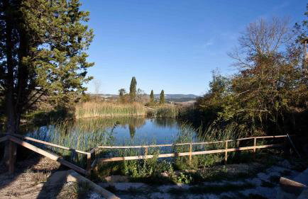 Casa vacanze Podere Marilla - Foto 22
