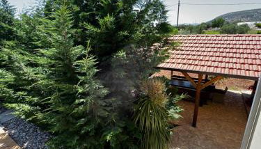 Orange Tree Garden - Foto 3