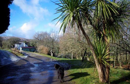 Cargibbitt Annexe - Foto 28