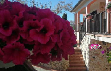 Villa Carlini - Foto 41