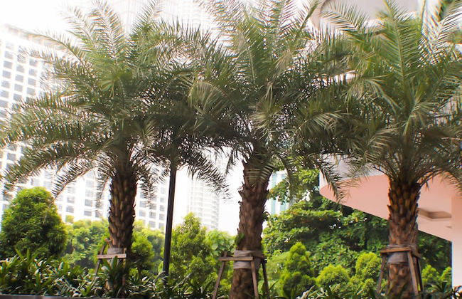 Crest Residence - Photo 4