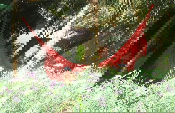 Refúgio Aconchegante em Canela CAN131 - Foto 21