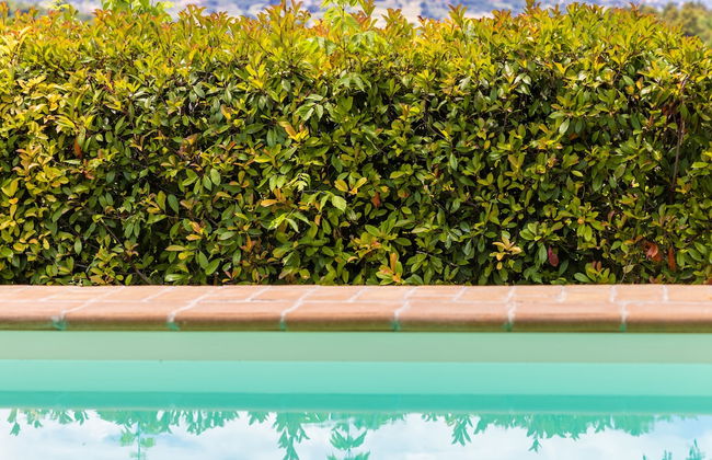 Un Petit Paradis - Foto 38