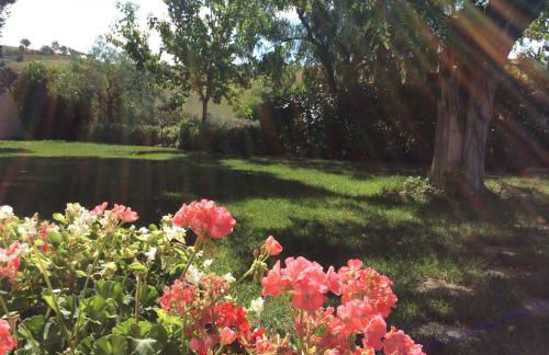 Agriturismo Fattoria colle Luca - Foto 20