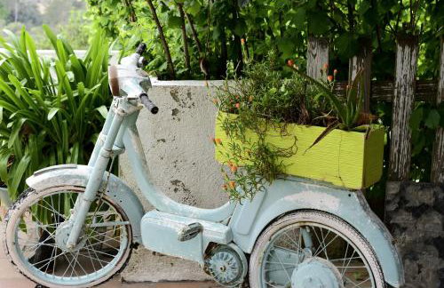 Nature Oasis near Barcelona with swimming pool Parties not allowed - Foto 15