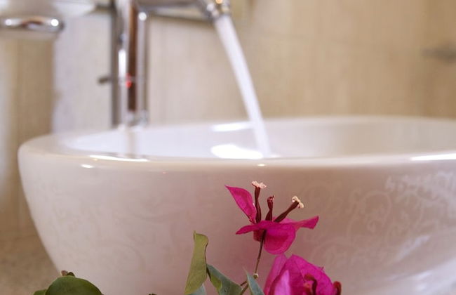 Il Viaggio Verde - Photo 37