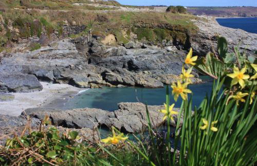 Little Chyryn Perranuthnoe - Photo 19