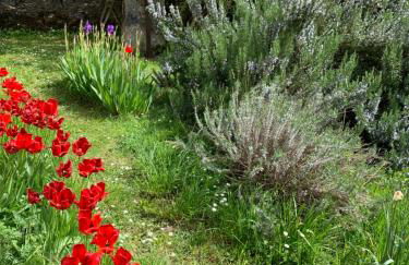 Grands Gîtes de charme avec jardin, lieu calme et paisible en plein coeur d'Arbois, linge inclu, lits faits à l'arrivée et ménage en fin de séjour - Foto 20