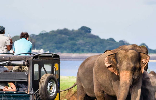 Safari privado por el Parque Nacional Yala - Foto 7
