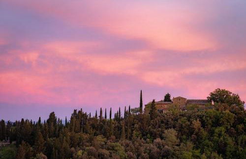 Cipressini - Foto 55