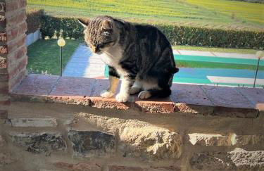 Podere La Selva - Foto 7