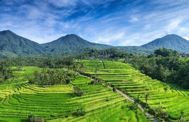 Hillside Eden Bali - Photo 52