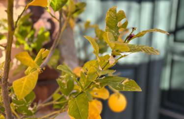Casa Rural con encanto Señorio Manchego ALBACETE - Foto 29