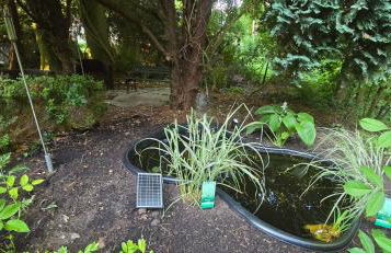 Oase am Deich - Photo 68