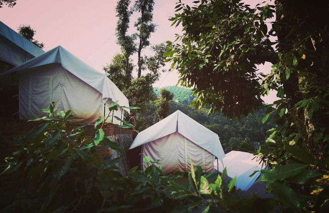 D Jungle Dabas Cottages - Foto 19