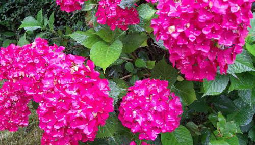 Ferienwohnung Inauen s Kiek in - Photo 4