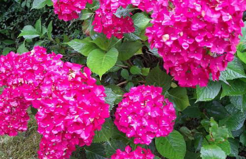 Ferienwohnung Inauen s Kiek in - Photo 4