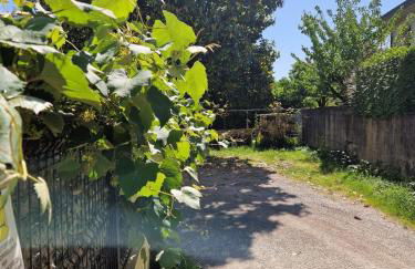 Centro Stazione - Foto 23