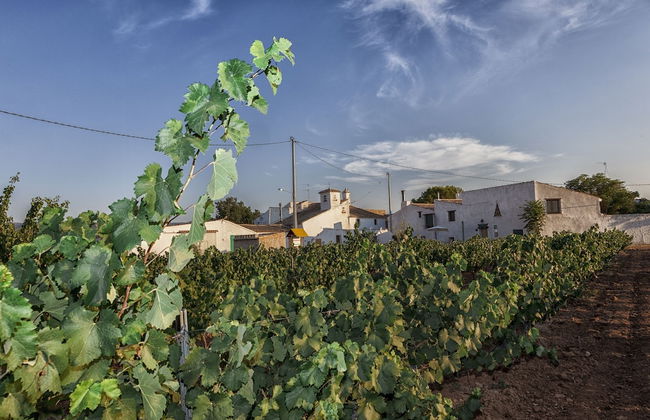 Casa Rural El Llano Quintanilla - Photo 42