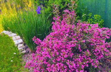 Podlaskie Żuczki - Foto 17