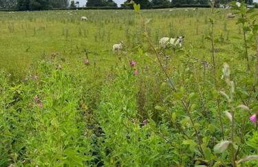 Willow Barn - Nantwich, with Hot Tub - Foto 28