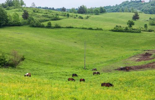 Apartment Stone and Wood - Photo 49