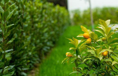 Residence 25 - Foto 55