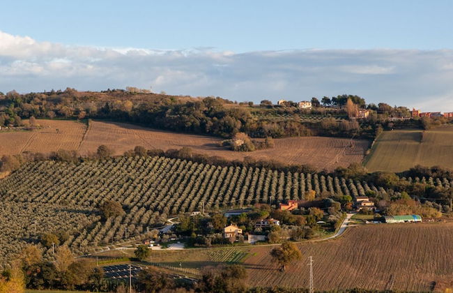 A3Passi Agriturismo tra gli Ulivi - Foto 79