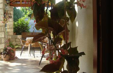 Apartments by the sea Sladjenovici, Dubrovnik - 11531 - Foto 9