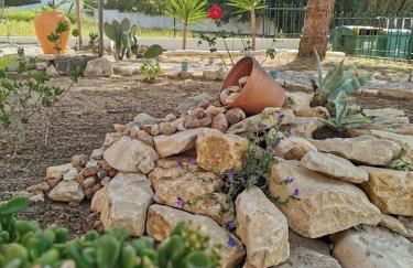 Casa Picamilho - Foto 6