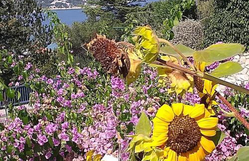 Apartment Stanka-Rab - Photo 5